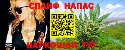 apvp Пугачёв