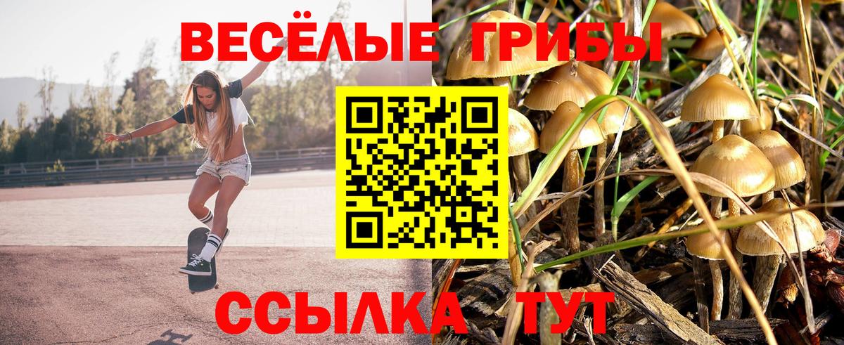 Галлюциногенные грибы мицелий Сосновый Бор