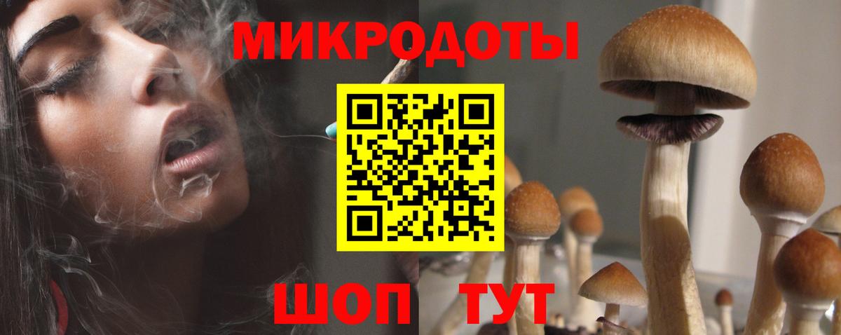 Галлюциногенные грибы MAGIC MUSHROOMS  Галлюциногенные грибы мухоморы  Вход с VPN  Сосновый Бор 